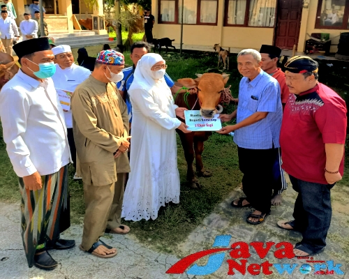 Wakil Bupati Sumenep Hj. Dewi Khalifah SH MH Didampingi Sekda, Kadis Sosial Dan Kabag Kesmas Serahkan Hewan Qurban