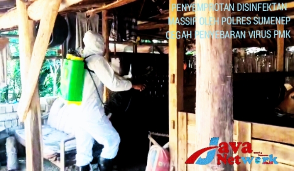 Bhabinkamtibmas Saat Melakukan Penyemprotan Virus PMK