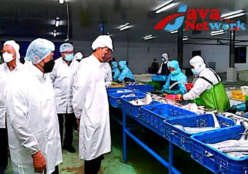 Presiden Jokowi Saat Meninjau Lokasi 