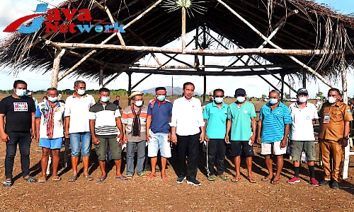 Presiden Jokowi saat Menemui Peternak Kerbau di Pulau Moa