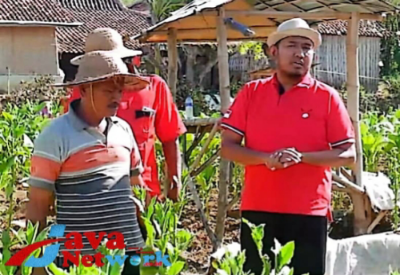 Bupati Sumenep Ra Achmad Fauzi SH MH Saat Mengunjungi Petani Tembakau di Desa Guluk-Guluk Kecamatan Guluk-Guluk Beberapa Waktu Lalu 