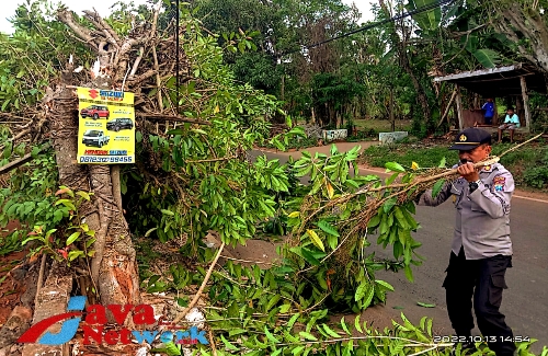 Kapolsek Saronggi AKP Joni Wahyudi Turun Langsung Menyingkirkan Pohon Tumbang