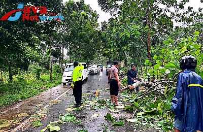 Gerak Cepat Polri Dibantu Warga Sekitar Evakuasi Pohon Jati Tumbang di Desa Jelbudan Dasuk