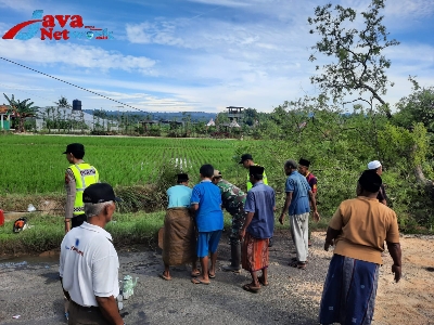 Polri Bersama Masyarakat Evakuasi Pohon Asam Tumbang Di Jalan Lenteng - Ganding