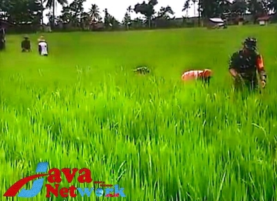 Sertu TNI Masturi Saat Memberikan Arahan Kepada Petani di Desa Binaan