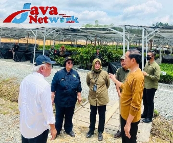 Presiden Jokowi Saat Meninjau Persemaian Mentawir di Kabupaten Penajam Paser Utara