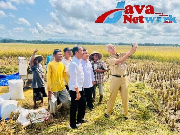 Presiden Minta Badan Pangan Nasional Hitung Harga Gabah Kering Petani