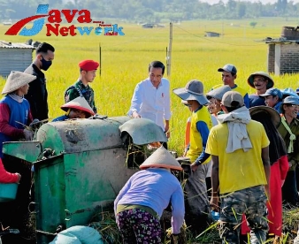 Presiden Tegaskan Upaya Pemerintah Seimbangkan Harga Gabah