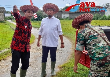 Bupati Sumenep Ra Achmad Fauzi Bersama Dandim Sumenep dan Kades Paberasan Rahman Saleh, SE Saat Melakukan Penanaman Jagung Silase di Desa Paberasan 