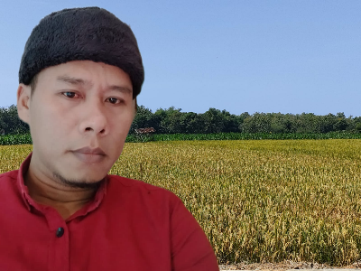 Usman Maria Petani Asal Paberasan Harapkan Harga Beras Panen Padi ke-2 Melambung Tinggi