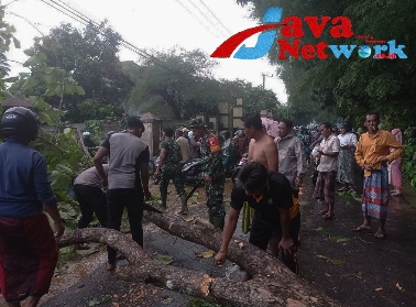 Gercep Babinsa Ganding Dan Warga Atasi Pohon Tumbang, Sabtu (23/12/2023)