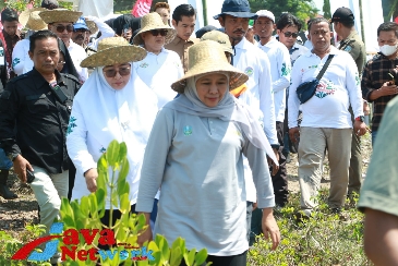 Gubernur Jatim, Khofifah Indar Parawansa Didampingi Wabup Sumenep Hj Dewi Khalifah SH MH MPdi Saat Menanam Manggrove Secara Simbolis Di Pesisir Pantai Kalianget Kabupaten Sumenep, Selasa (26/12/2023)