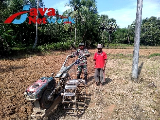 Babinsa Rubaru Sertu Heri Saat Membantu Petani di Desa Binaan. Kamis (28/12/2023)