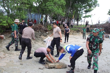 Suasana Bakti Sosial dan Bakti Kesehatan Polres dan Dandim Sumenep di Pantai Ponjuk Talango, Selasa (23/01/2024)