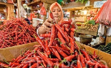 Salah Satu Pedagang Cabai Rawit Di Pasar Tradisional Sumenep