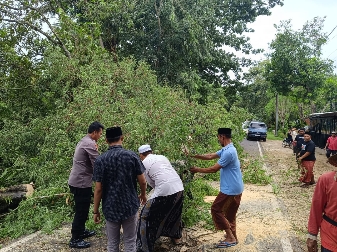 Gercep Polres Sumenep Evakuasi Pohon Tumbang di Jalan Raya, Sabtu (09/03/2024)