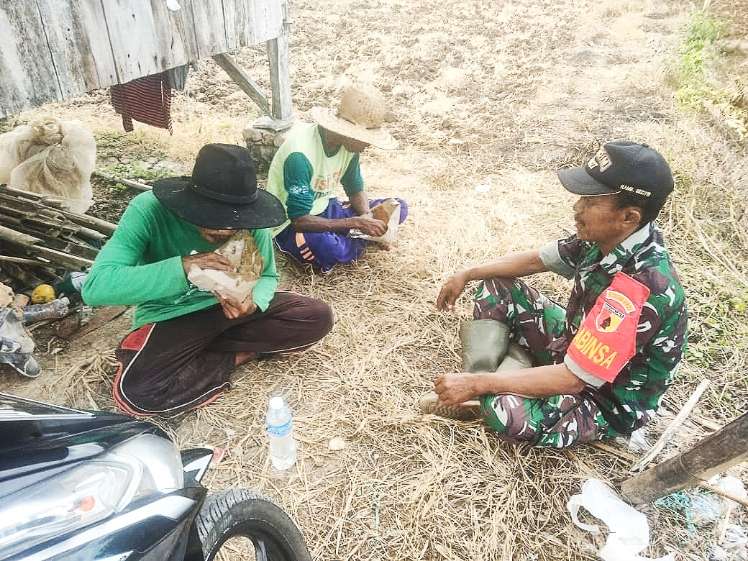 Babinsa Ganding Komsos Dengan Petani Sebagai Wujud Kepedulian Guna Meningkatkan Hasil Pertanian