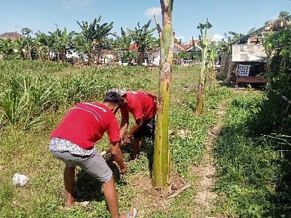 Pembinaan Penanaman Pisang Raja, Upaya Rutan Sumenep Berikan Bekal Keterampilan kepada WBP, Sabtu (29/06/2024)