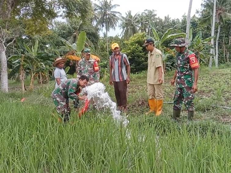 Pompa Brigade Alinstan Beroperasi Mengairi Sawah di Batu Putih