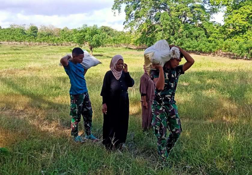 Ikhlas Dan Penuh Semangat, Satgas TMMD 121 Kodim 0827/Sumenep Bantu Angkat Melon Masyarakat, Minggu (04/08/2024(