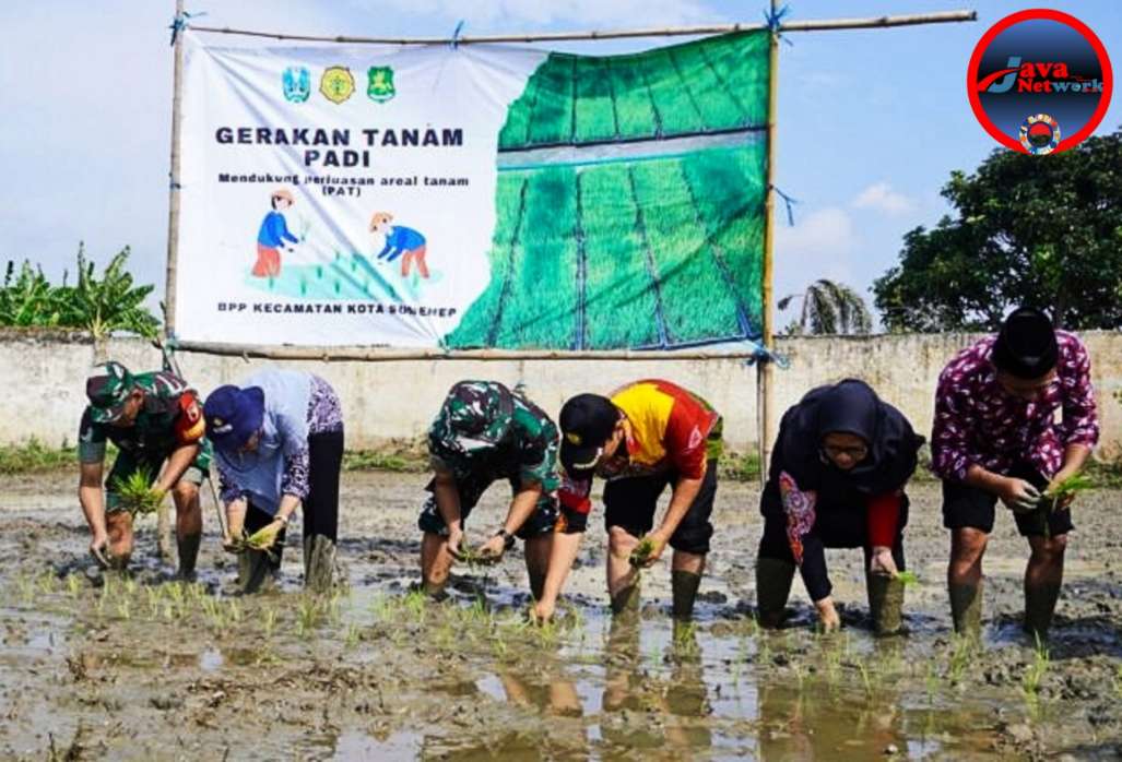 Dongkrak Produktivitas Padi, Dandim Sumenep Kembali Perluasan Areal Tanam di Pabian