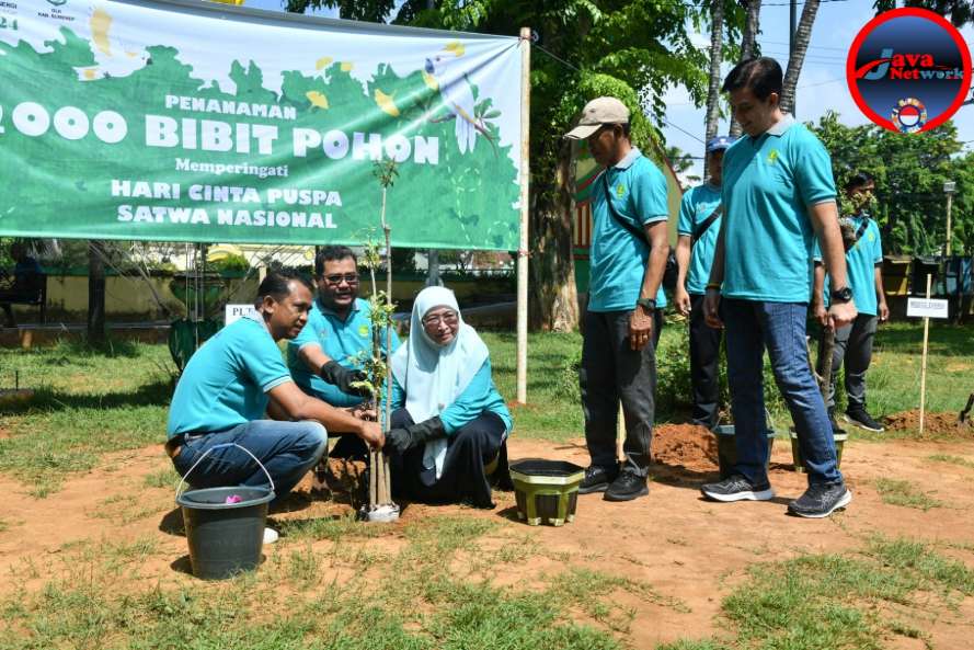 Plt Bupati Sumenep Hj. Dewi Khalifah, SH, MH, MPdi Bersama DLH dan Perwakilan Medco Oil dan Gas Saat Melakukan Penanaman 2000 Bibit Pohon, Selasa (05/11/2024)