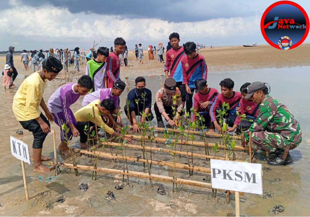 Cegah Abrasi Pantai, Babinsa Koramil 0827/18 Kangean Bersama Masyarakat Tanam Ribuan Pohon Mangrove