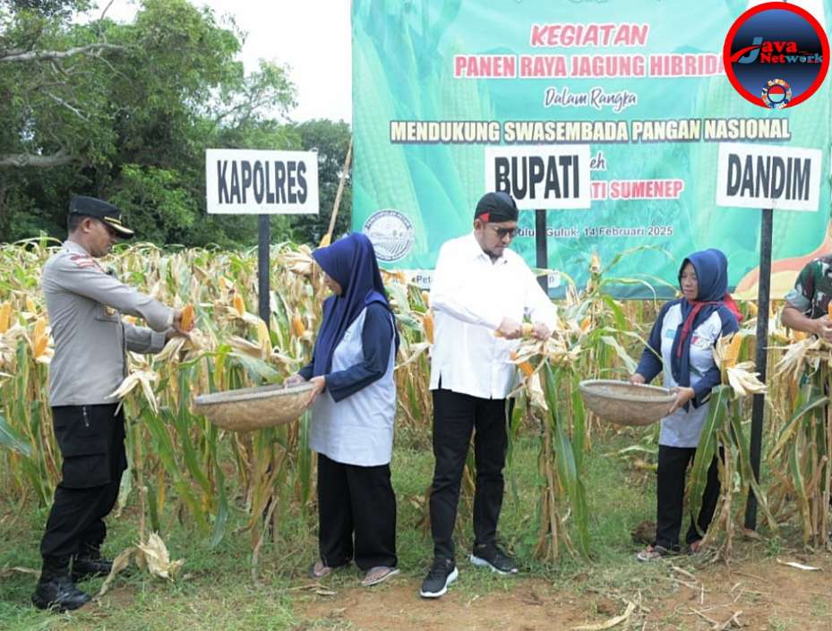 Wakapolres Sumenep Hadiri Panen Jagung Hibrida: Dorong Pertanian Sebagai Pilar Ekonomi Daerah, Jum'at (14/2/25)