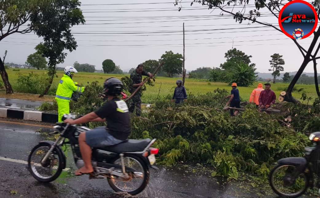 Tim Elang Satlantas Polres Sumenep Saat Mengevakuasi Pohon Tumbang di Jalan Trunojoyo, Sabtu (22/03/2025)
