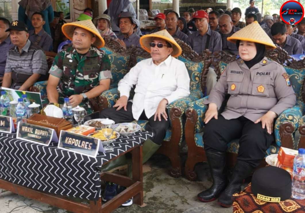 Wakil Bupati Sumenep Pimpin Panen Raya Padi: Dari Sawah Talang Menuju Kedaulatan Pangan