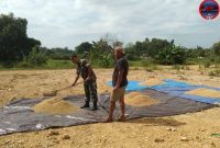 Babinsa Koramil 0827/01 Bantu Petani Jemur Padi di Kebun Agung Sumenep