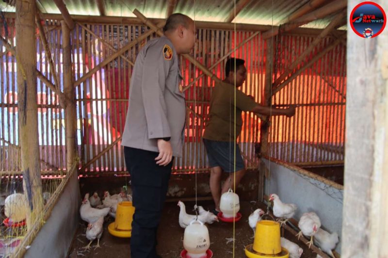 Kapolres Sumenep AKBP Rivanda Saat Meninjau Peternakan Ayam Didesa Pabian Kecamatan Kota Sumenep 