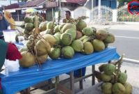 Kelangkaan Pasokan, Harga Kelapa di Sumenep Naik Signifikan