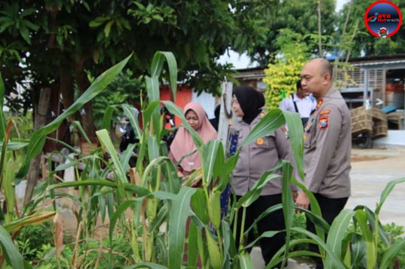 Dukung Ketahanan Pangan, Kapolres Sumenep Kunjungi Pekarangan Tumpang Sari Warga Pabian