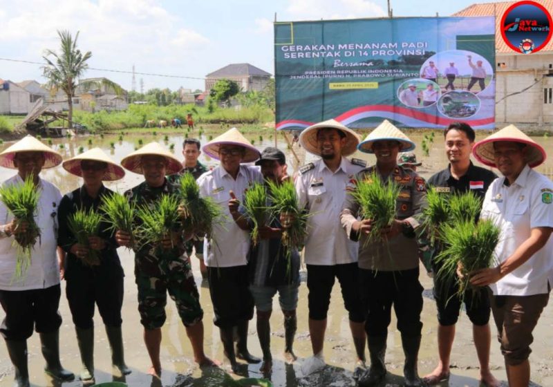 Kasdim 0827/Sumenep Tanam Benih Padi Serentak, Dukung Swasembada Pangan