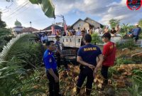 Kabid Damkar Satpol PP Sumenep Sugiyanto Saat Memimpin Langsung Evakuasi Pickup Yang Jatuh Ke Jurang Di Kecamatan Saronggi, Rabu (23/04/2025)