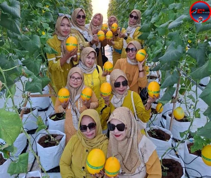 Komunitas Kendedes Sumenep 