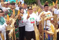 Sukses Panen Jagung Hibrida, Wabup Sumenep: Ini Bukti Kekuatan Pertanian Manding
