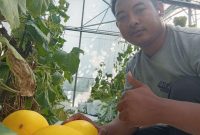 Masyuni Ramadhan Manager Keraton Langit Sumenep