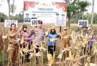Dukung Ketahanan Pangan, Kapolres Sumenep Bersama Forkopimda Panen Jagung di Desa Ellak Daya, Selasa (27/05/2025) 