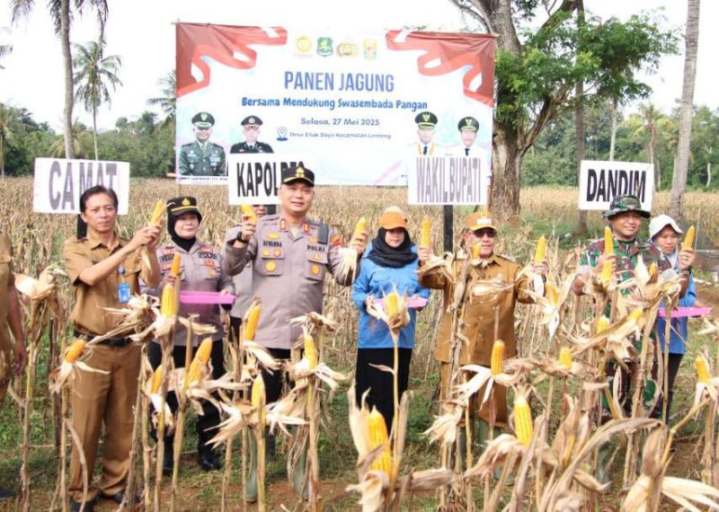 Dukung Ketahanan Pangan, Kapolres Sumenep Bersama Forkopimda Panen Jagung di Desa Ellak Daya, Selasa (27/05/2025) 