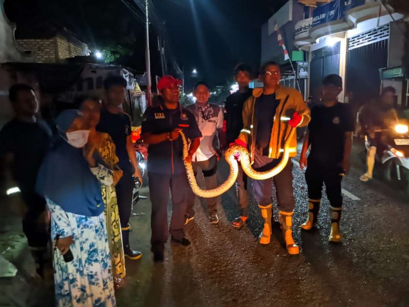 Tim Unit Reaksi Cepat Damkar Sumenep Usai Mengevakuasi Ular di Pemukiman Warga di Kelurahan Bangselok, Kamis (29/05/2025)