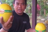 Foto Salah Satu Pelanggan Melon Makisa Dari Keraton Langit Sumenep