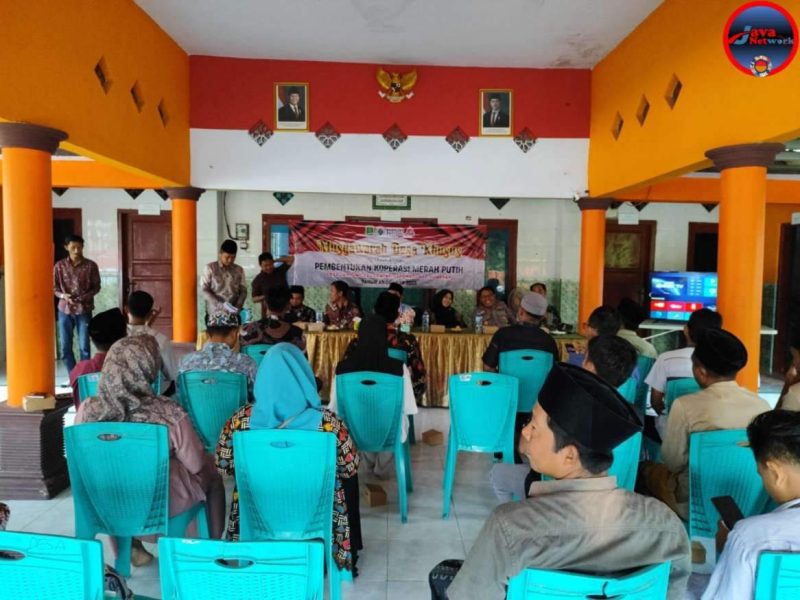 Suasana Pendirian Koperasi Merah Putih di Balai Desa Tanjung Kecamatan Saronggi 