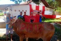 PAC PDI Perjuangan Kecamatan Lenteng Kembali Salurkan Daging Kurban, Perkuat Nilai Gotong Royong dan Kepedulian Sosial
