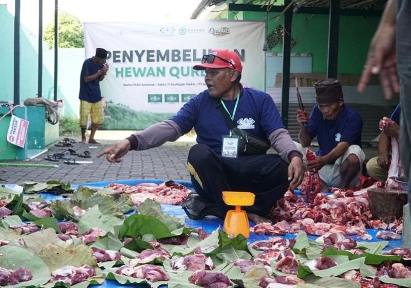 PCNU sumenep Gelar Kurban Ramah Lingkungan, Daging Dibungkus Daun Jati