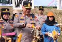 Polres Sumenep Gelar Panen Raya Jagung Serentak Dukung Ketahanan Pangan Nasional