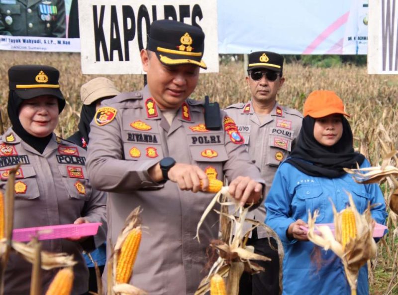 Polres Sumenep Gelar Panen Raya Jagung Serentak Dukung Ketahanan Pangan Nasional