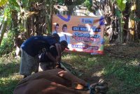 Suasana Kegiatan Penyembelihan Hewan Kurban DPD PKS Sumenep 