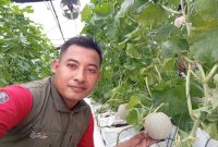 Masyuni Ramadhan Aktivis Pertanian Dari Desa Lebeng Barat Kecamatan Pasongsongan 